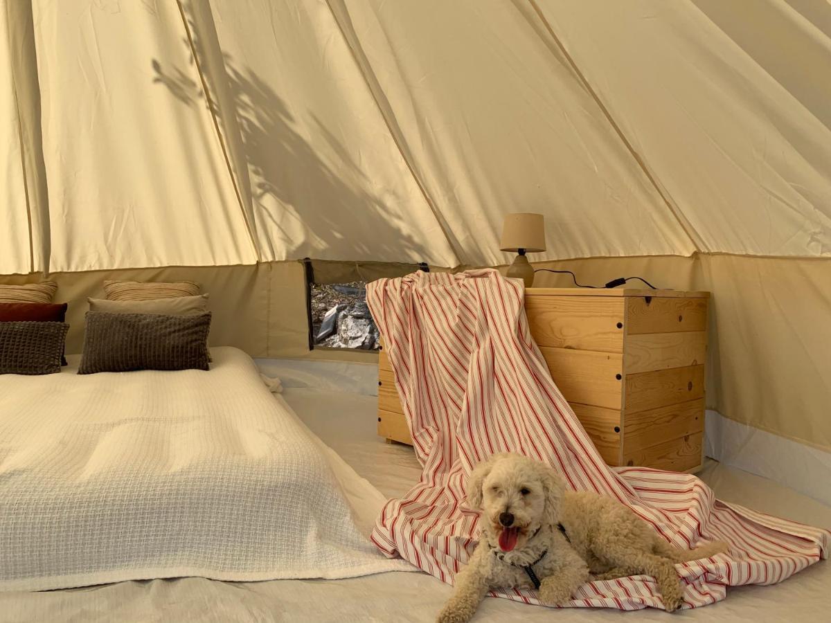 Bigova Glamping Hotell Kotor Eksteriør bilde