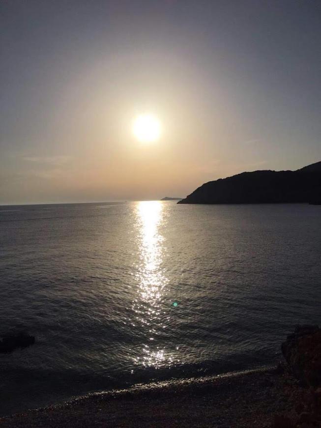 Bigova Glamping Hotell Kotor Eksteriør bilde